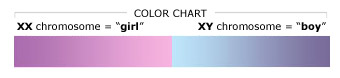GENDERmaker Color Chart